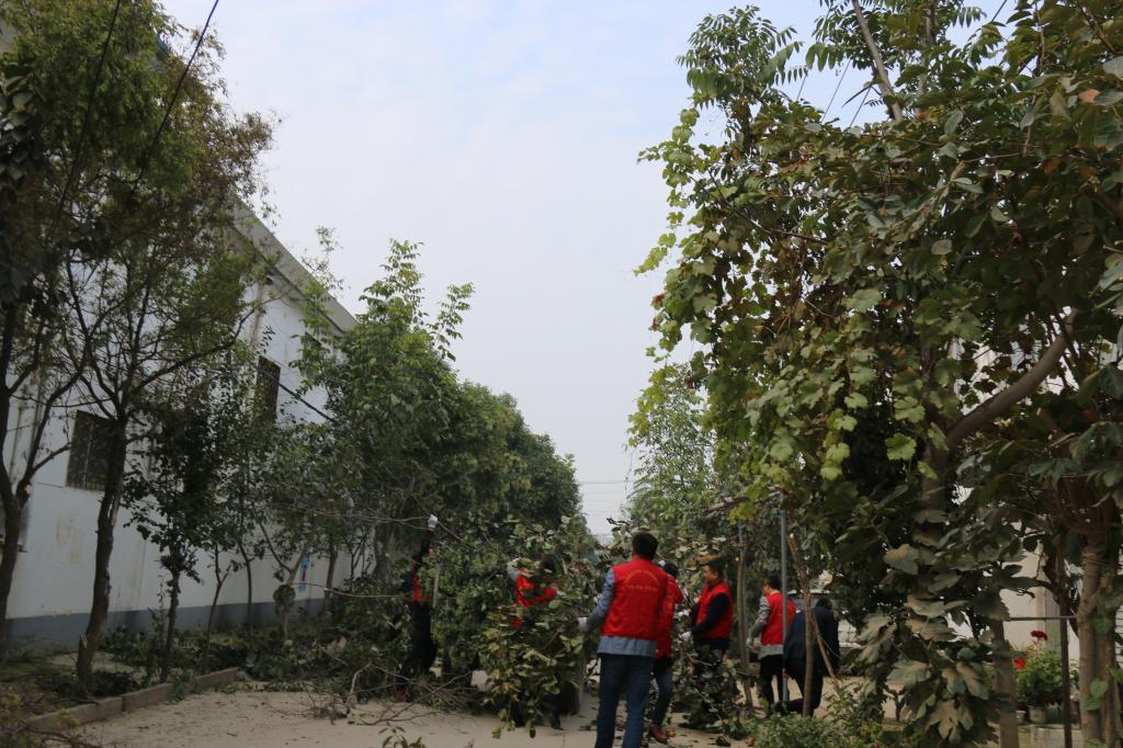 437ccm必赢国际官网